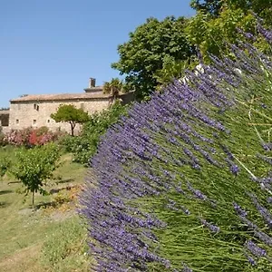 Bed & Breakfast Domaine De Cousignac, Bourg-Saint-Andeol